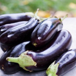 Eggplants. 6pcs